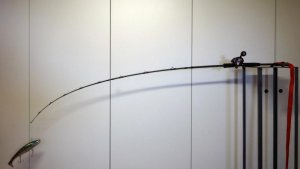 H2N-64R mit 650g Roiber .jpg