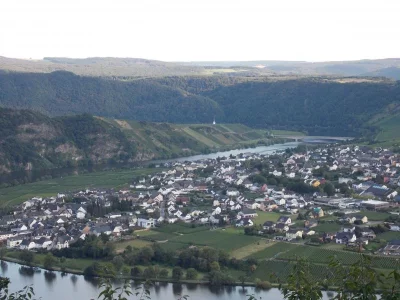 Mosel 3 001.webp