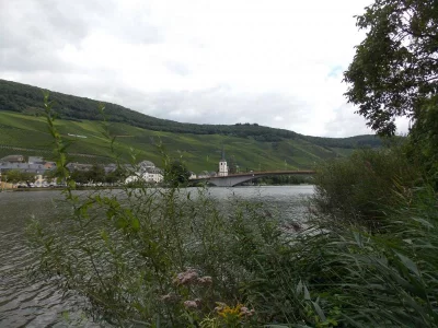 Mosel 2014 008.webp