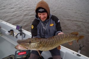 IMGP2065 (1024x678).jpg