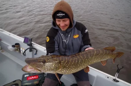 IMGP2065 (1024x678).webp