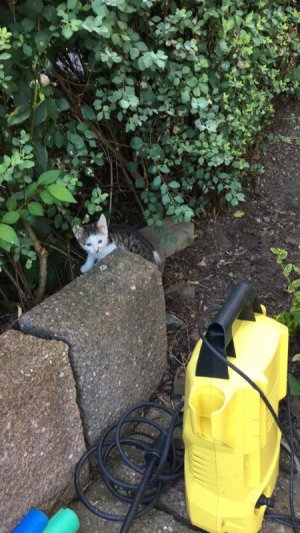 IMG_0027.JPG IMG_0027.JPG