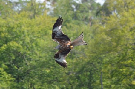 DSC_2947.JPG DSC_2947.JPG