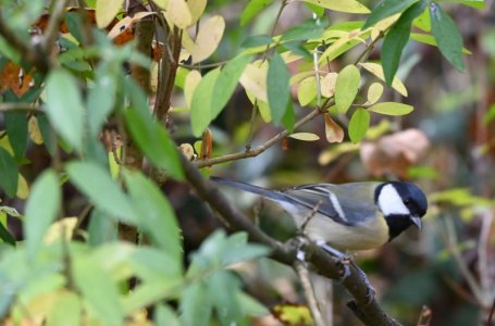 DSC_1301.JPG DSC_1301.JPG