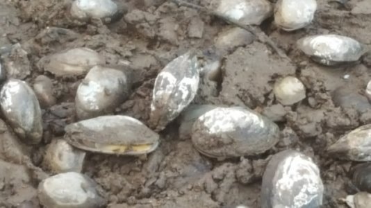 20201110_162910.jpg 20201110_162910.jpg