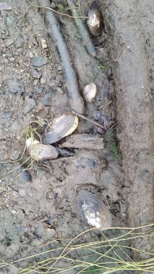 20201108_145747.jpg 20201108_145747.jpg