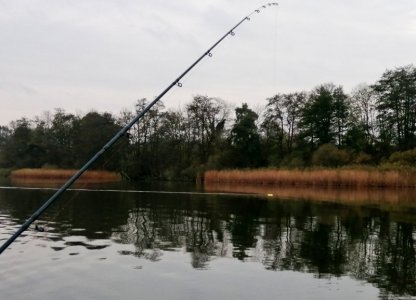 Schleppangeln Trollingtreff.jpg