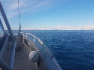 20190318_090226.jpg 20190318_090226.jpg