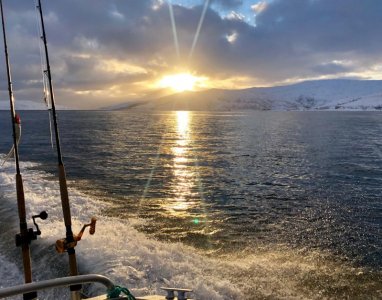 IMG-20190319-WA0015.jpg IMG-20190319-WA0015.jpg