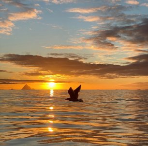 231020 (156).jpg 231020 (156).jpg