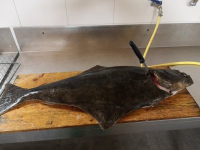 IMG_20201025_175931.jpg IMG_20201025_175931.jpg