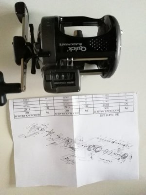 IMG_20201129_104407.jpg