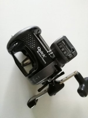 IMG_20201129_104304.jpg