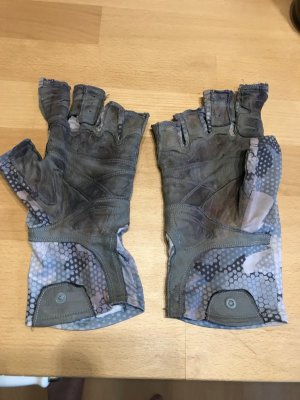 IMG_2414.JPG IMG_2414.JPG