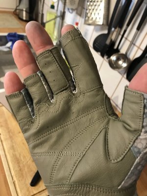 IMG_2405.JPG IMG_2405.JPG