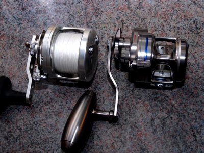 Daiwa Saltiga 15 LH-SJ 040.JPG