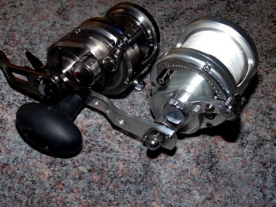 Daiwa Saltiga 15 LH-SJ 038.JPG