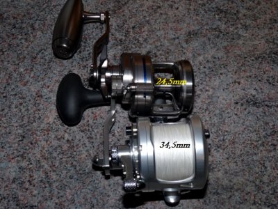 Daiwa Saltiga 15 LH-SJ 037.JPG