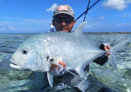 IMG-20201215-WA0003.jpg IMG-20201215-WA0003.jpg