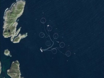 Screenshot_20201218_162948.jpg Screenshot_20201218_162948.jpg