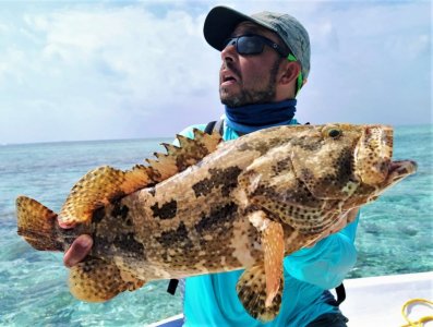 IMG-20201219-WA0010.jpg IMG-20201219-WA0010.jpg