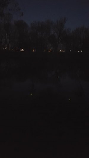 20201219_171107.jpg