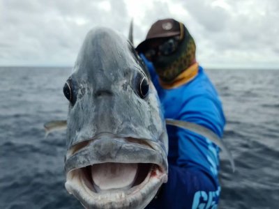 131692183_3360746960689610_2984779531216641314_o.jpg 131692183_3360746960689610_2984779531216641314_o.jpg