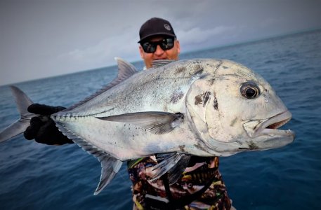 IMG-20201221-WA0043.jpg IMG-20201221-WA0043.jpg