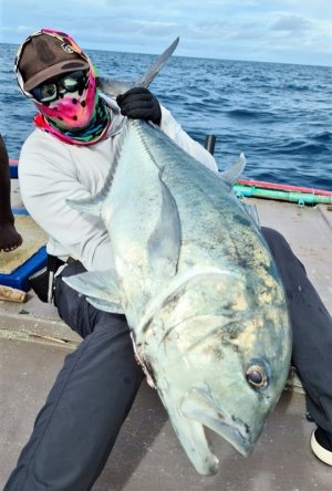 IMG-20201222-WA0031.jpg IMG-20201222-WA0031.jpg