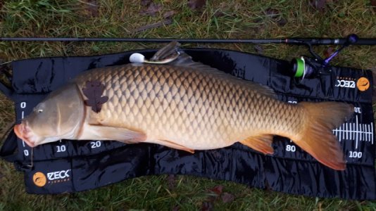 20201223_085655.jpg 20201223_085655.jpg