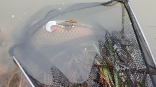 20201223_085416.jpg 20201223_085416.jpg