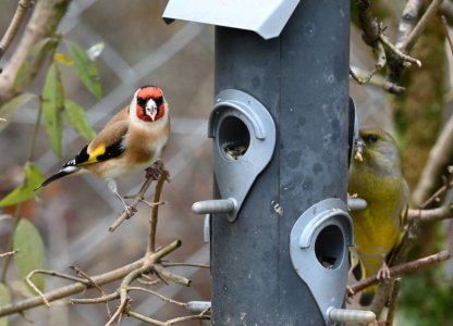 DSC_1394.JPG DSC_1394.JPG