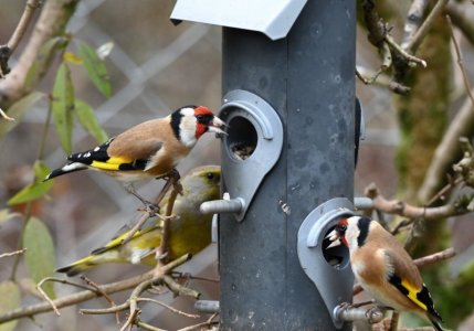 DSC_1386.JPG DSC_1386.JPG