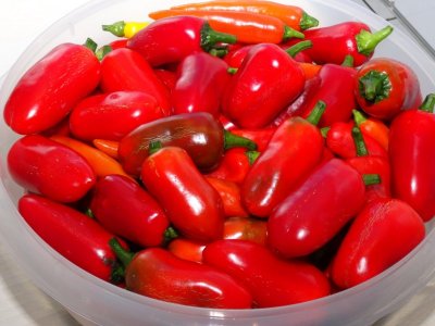 Chili Saisonende 2020 002.JPG