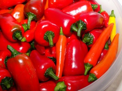 Chili Saisonende 2020 003.JPG