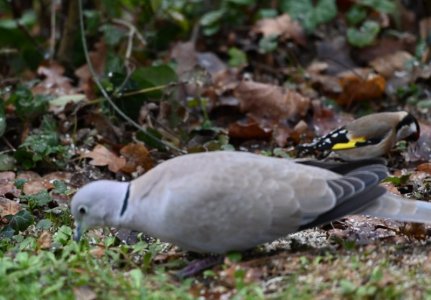 DSC_1448.JPG DSC_1448.JPG