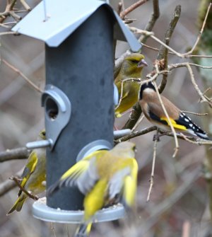 DSC_1478.JPG DSC_1478.JPG