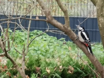 IMG-20201231-WA0005.jpg IMG-20201231-WA0005.jpg