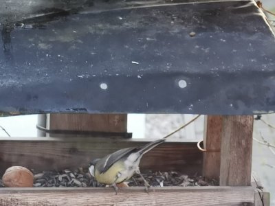 IMG-20201231-WA0009.jpg IMG-20201231-WA0009.jpg