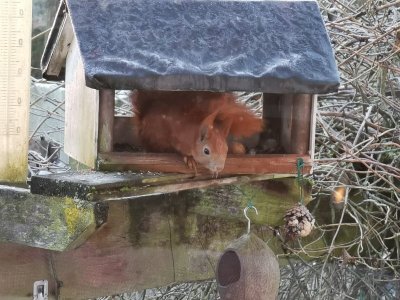 IMG-20201231-WA0008.jpg IMG-20201231-WA0008.jpg