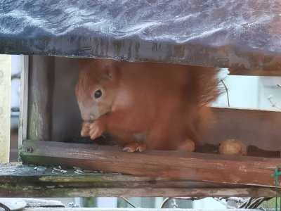 IMG-20201231-WA0006.jpg IMG-20201231-WA0006.jpg