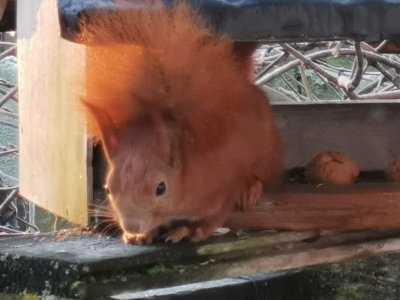 IMG-20201231-WA0007.jpg IMG-20201231-WA0007.jpg