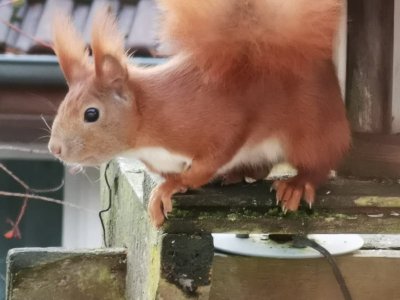 IMG-20201231-WA0010.jpg IMG-20201231-WA0010.jpg