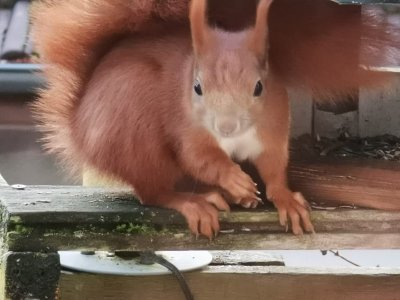 IMG-20201231-WA0012.jpg IMG-20201231-WA0012.jpg