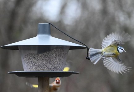 DSC_1956.JPG DSC_1956.JPG