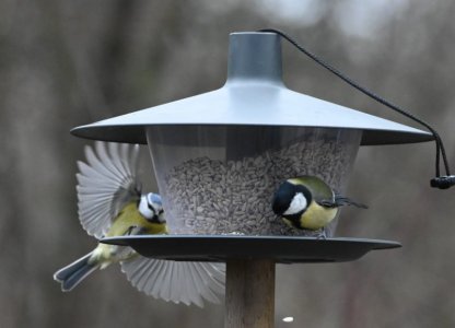 DSC_1896.JPG DSC_1896.JPG