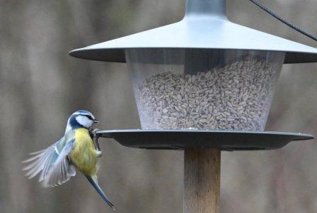 DSC_1878.JPG DSC_1878.JPG