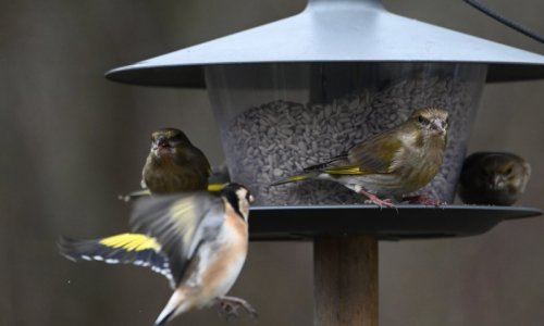 DSC_1814.JPG DSC_1814.JPG