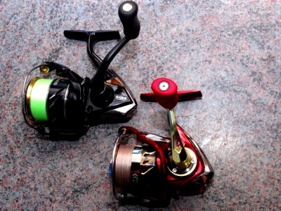 Sustain 2500FI 025.JPG