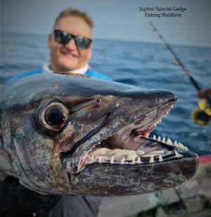 IMG-20201229-WA0020.jpg IMG-20201229-WA0020.jpg